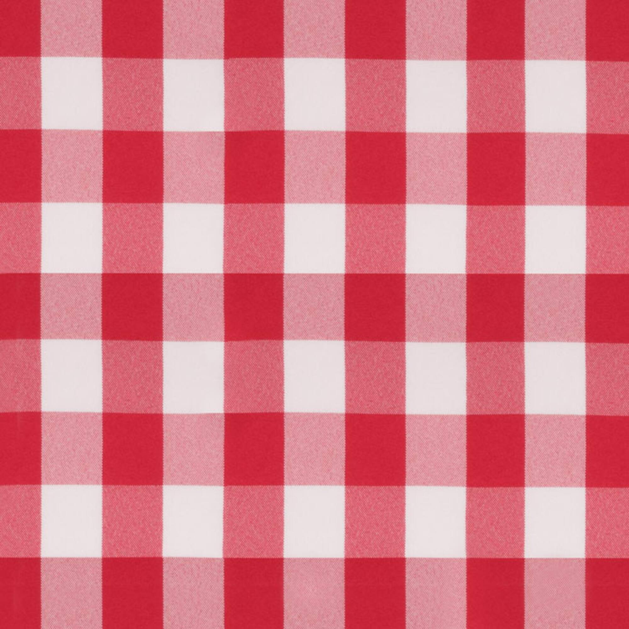 Red Picnic Check Poplin